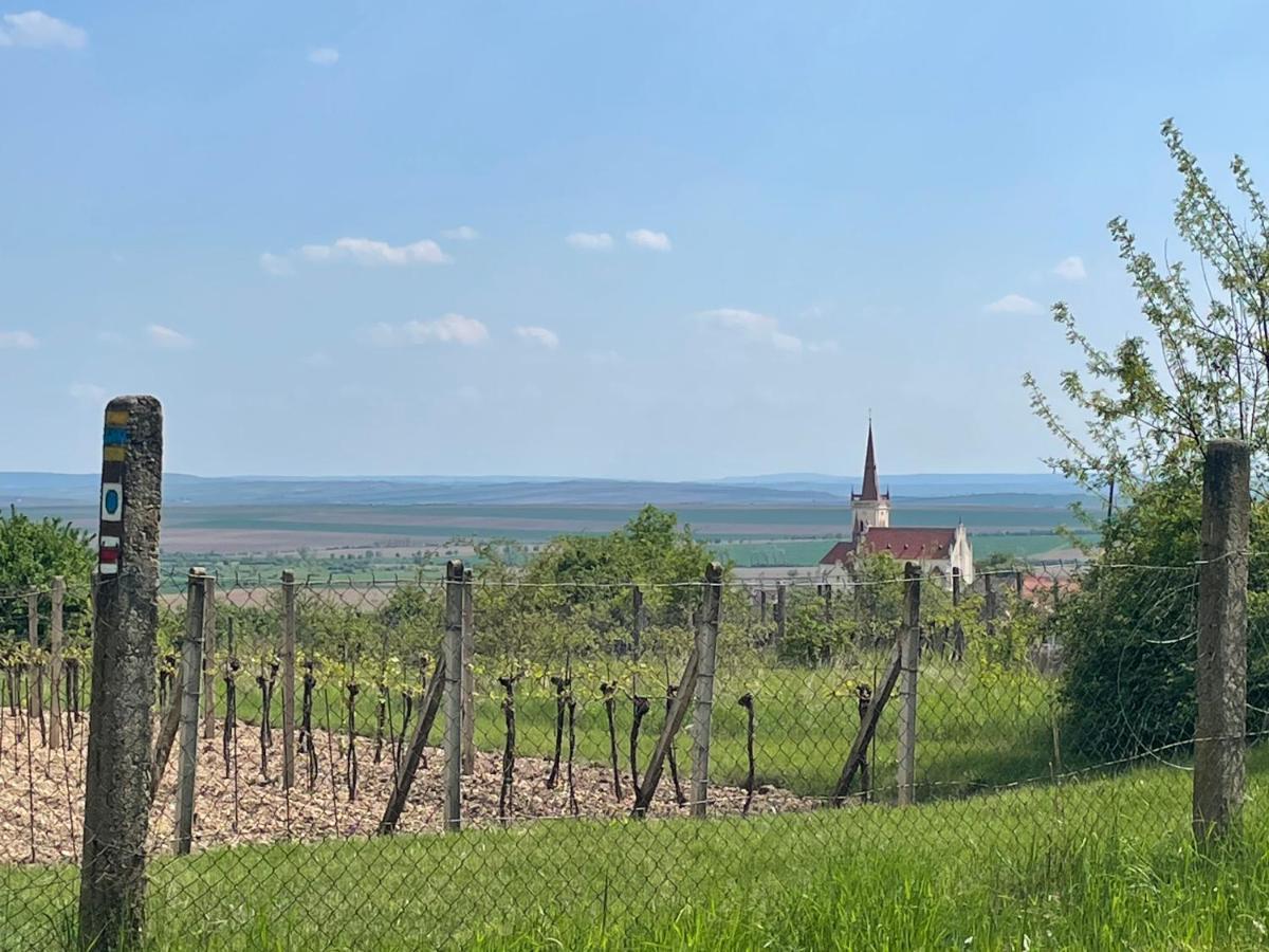 Apartman U Brezinu Зноймо Екстер'єр фото
